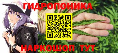 МДПВ Дубна