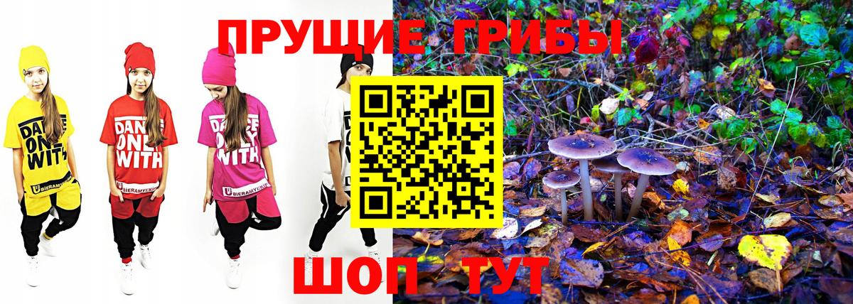 цены   Вход с VPN  Киреевск  Галлюциногенные грибы мицелий  Псилоцибиновые грибы мухоморы 